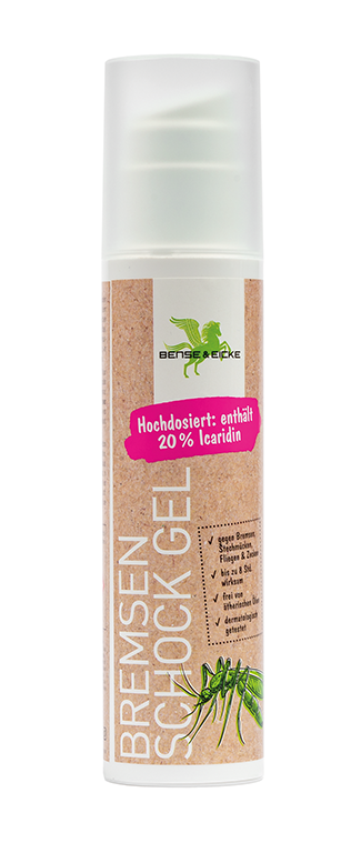 BremsenSchock - Gel, 200 ml Spender